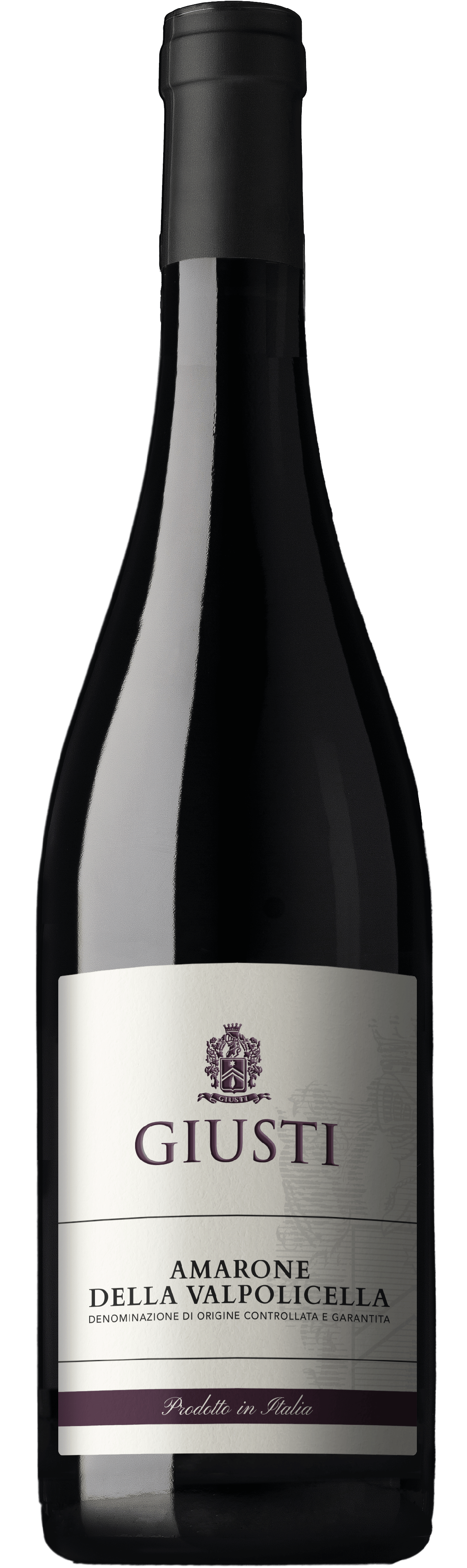 2019 Amarone della Valpolicella DOCG