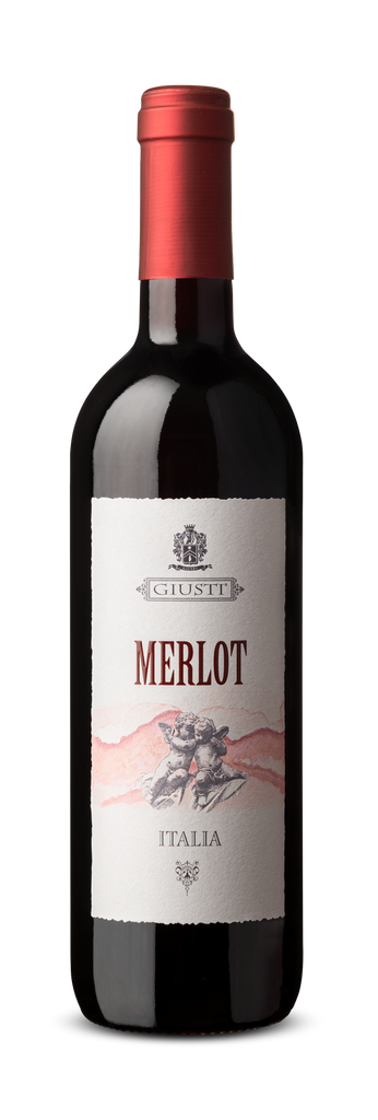 2022 Merlot IGT Veneto – Bottles & Barrels